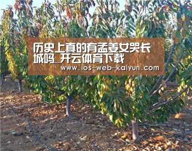 历史上真的有孟姜女哭长城吗_开云体育下载(图4) 开元棋牌电脑版