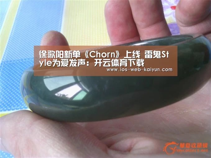 徐歌阳新单《Chorn》上线 雷鬼Style为爱发声:开云体育下载(图2) 开云体育下载